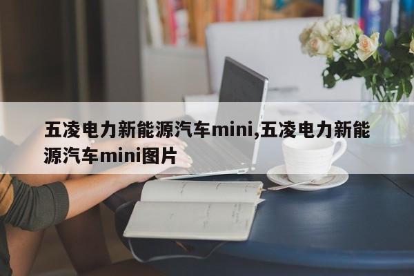 五凌电力新能源汽车mini,五凌电力新能源汽车mini图片