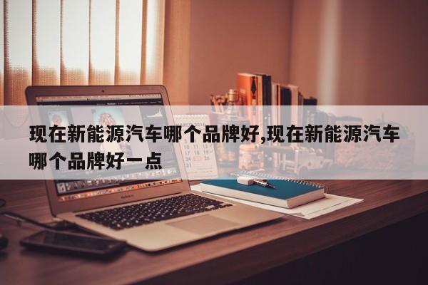 现在新能源汽车哪个品牌好,现在新能源汽车哪个品牌好一点