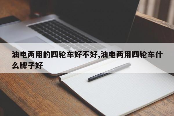 油电两用的四轮车好不好,油电两用四轮车什么牌子好