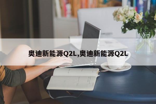 奥迪新能源Q2L,奥迪新能源Q2L