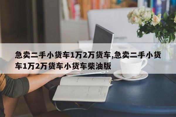 急卖二手小货车1万2万货车,急卖二手小货车1万2万货车小货车柴油版