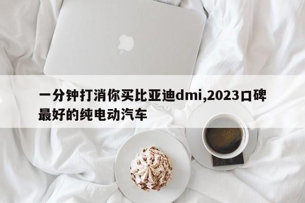 一分钟打消你买比亚迪dmi,2023口碑最好的纯电动汽车