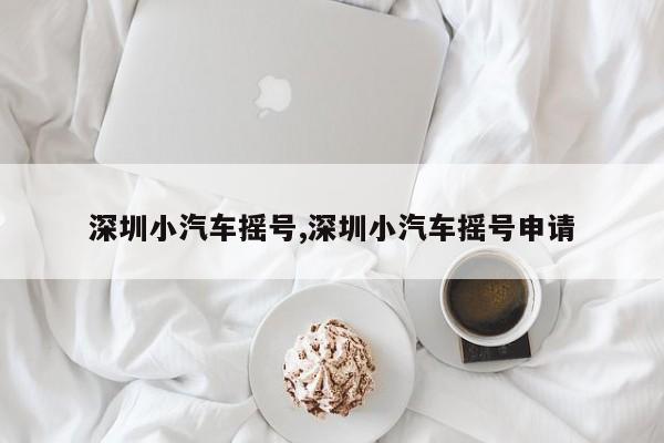 深圳小汽车摇号,深圳小汽车摇号申请