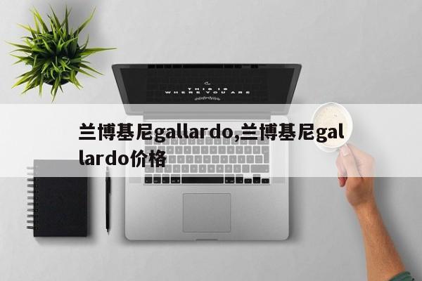 兰博基尼gallardo,兰博基尼gallardo价格