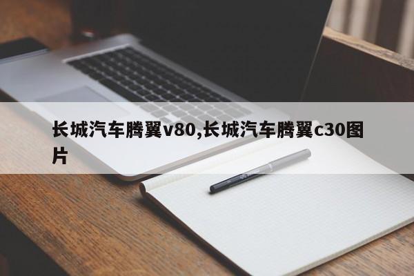 长城汽车腾翼v80,长城汽车腾翼c30图片