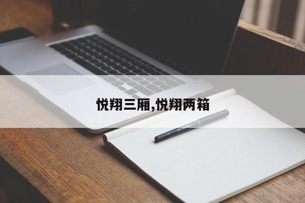 悦翔三厢,悦翔两箱