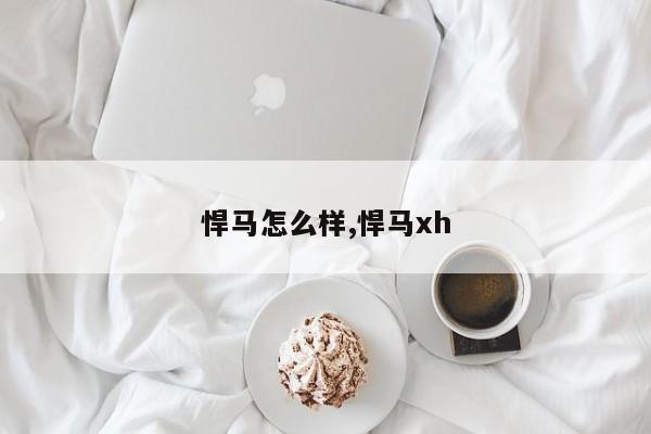 悍马怎么样,悍马xh