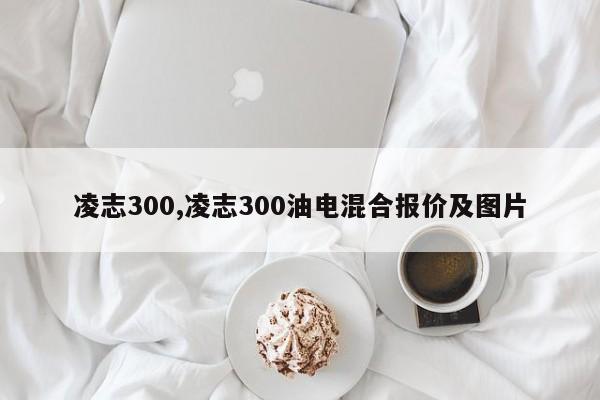 凌志300,凌志300油电混合报价及图片