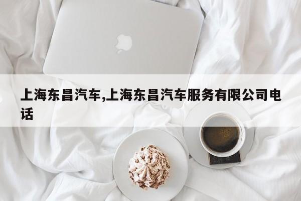 上海东昌汽车,上海东昌汽车服务有限公司电话