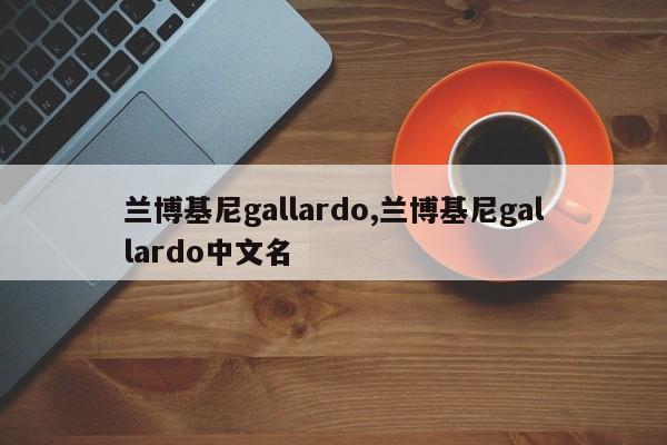 兰博基尼gallardo,兰博基尼gallardo中文名