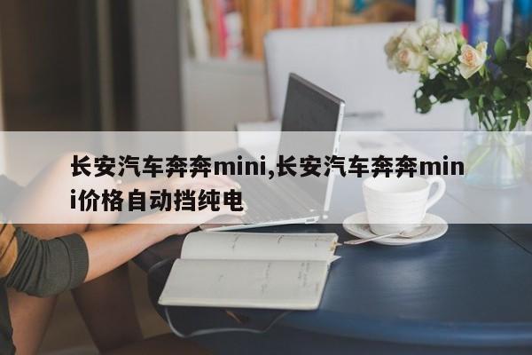 长安汽车奔奔mini,长安汽车奔奔mini价格自动挡纯电