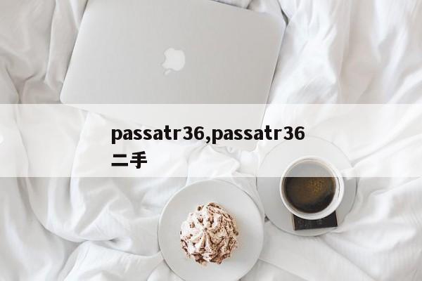 passatr36,passatr36 二手