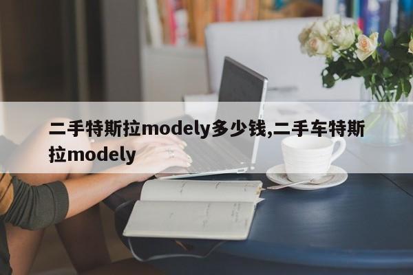 二手特斯拉modely多少钱,二手车特斯拉modely