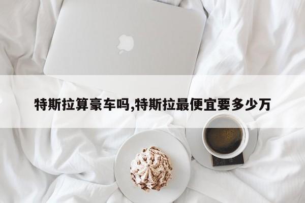 特斯拉算豪车吗,特斯拉最便宜要多少万