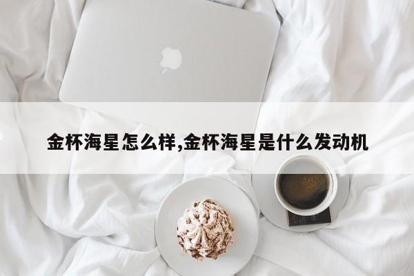 金杯海星怎么样,金杯海星是什么发动机