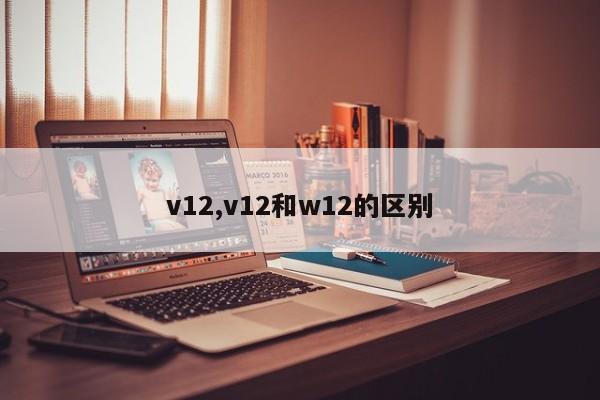 v12,v12和w12的区别