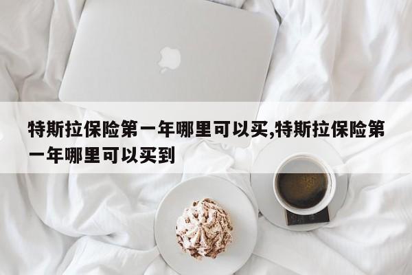 特斯拉保险第一年哪里可以买,特斯拉保险第一年哪里可以买到