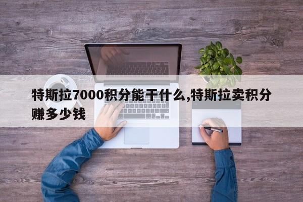 特斯拉7000积分能干什么,特斯拉卖积分赚多少钱