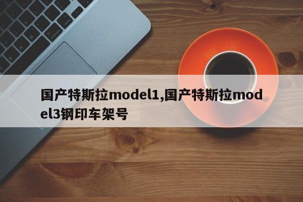 国产特斯拉model1,国产特斯拉model3钢印车架号