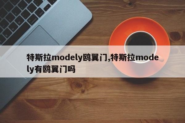 特斯拉modely鸥翼门,特斯拉modely有鸥翼门吗