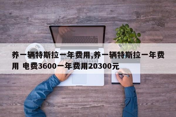 养一辆特斯拉一年费用,养一辆特斯拉一年费用 电费3600一年费用20300元