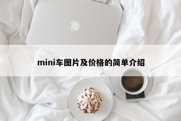 mini车图片及价格的简单介绍