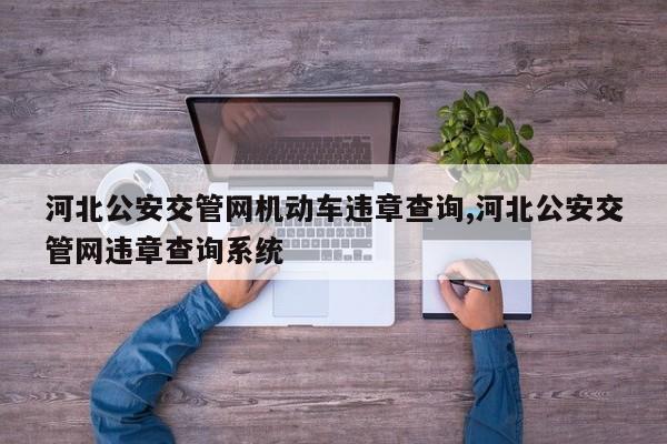 河北公安交管网机动车违章查询,河北公安交管网违章查询系统