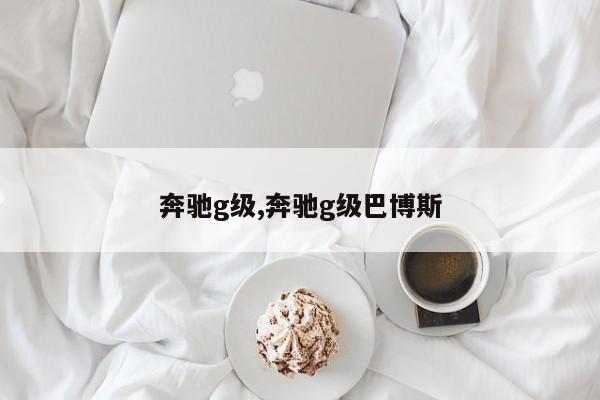 奔驰g级,奔驰g级巴博斯