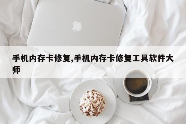 手机内存卡修复,手机内存卡修复工具软件大师