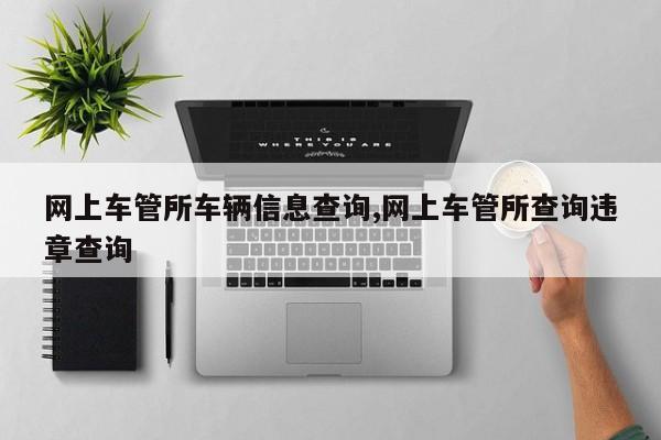 网上车管所车辆信息查询,网上车管所查询违章查询