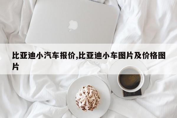 比亚迪小汽车报价,比亚迪小车图片及价格图片