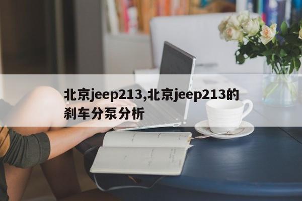 北京jeep213,北京jeep213的刹车分泵分析